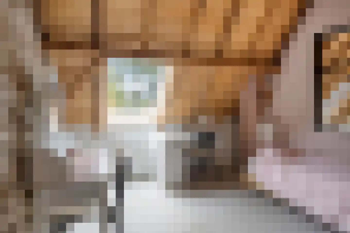 de Fransman 5 Oirschot thumbnail 66