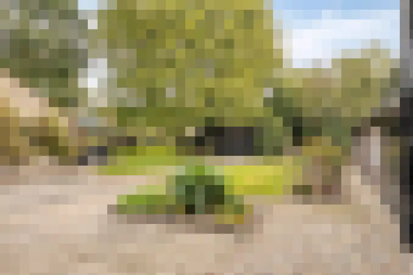 de Fransman 5 Oirschot thumbnail 69