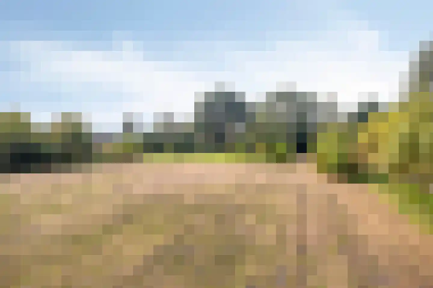 de Fransman 5 Oirschot thumbnail 7