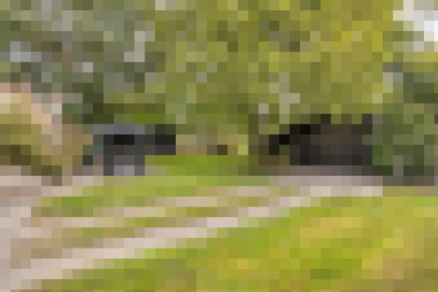 de Fransman 5 Oirschot thumbnail 70