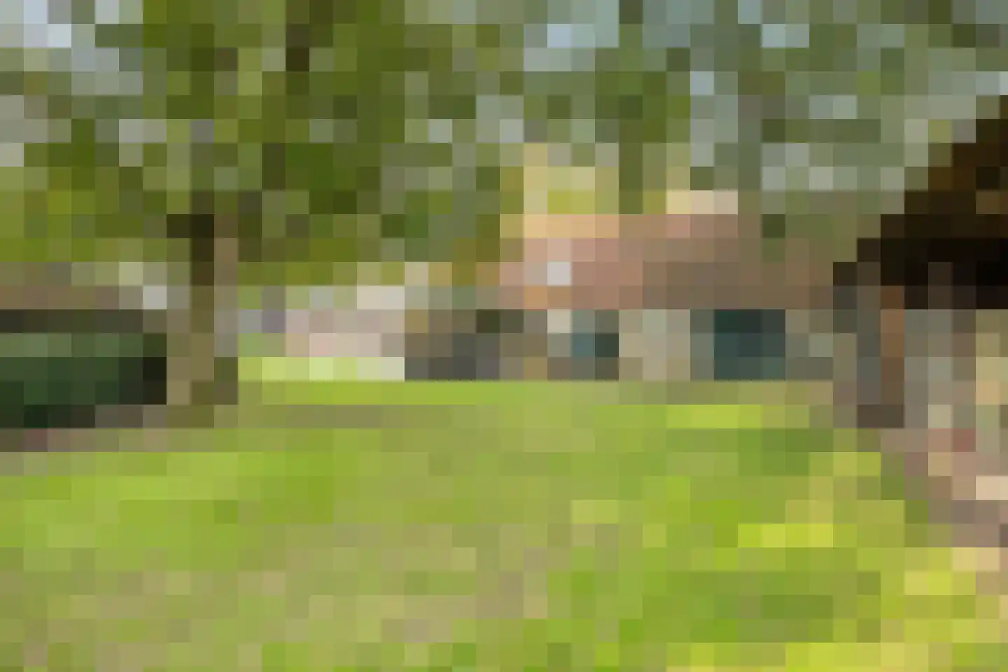 de Fransman 5 Oirschot thumbnail 71