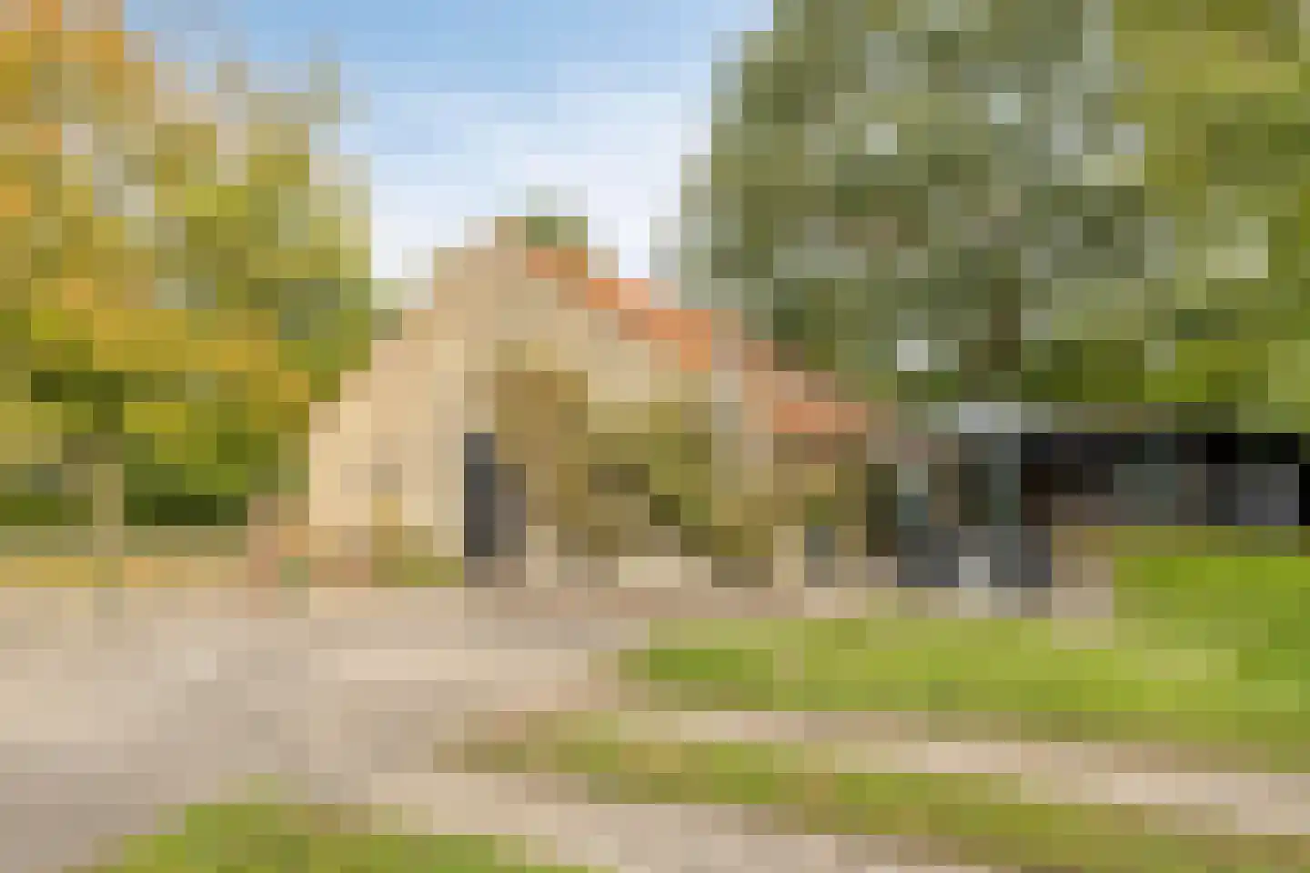 de Fransman 5 Oirschot thumbnail 79