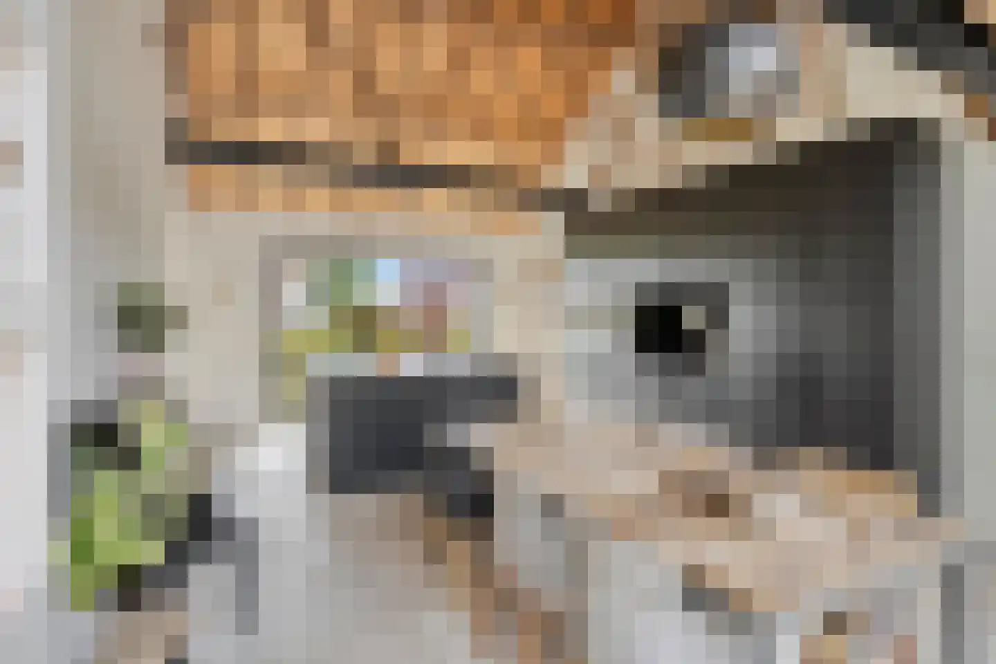 de Fransman 5 Oirschot thumbnail 8