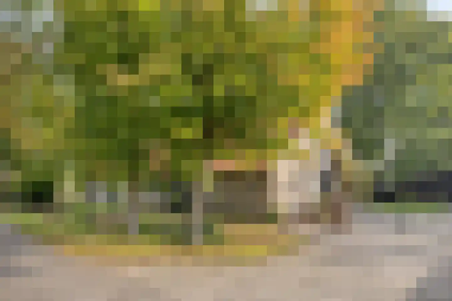 de Fransman 5 Oirschot thumbnail 80