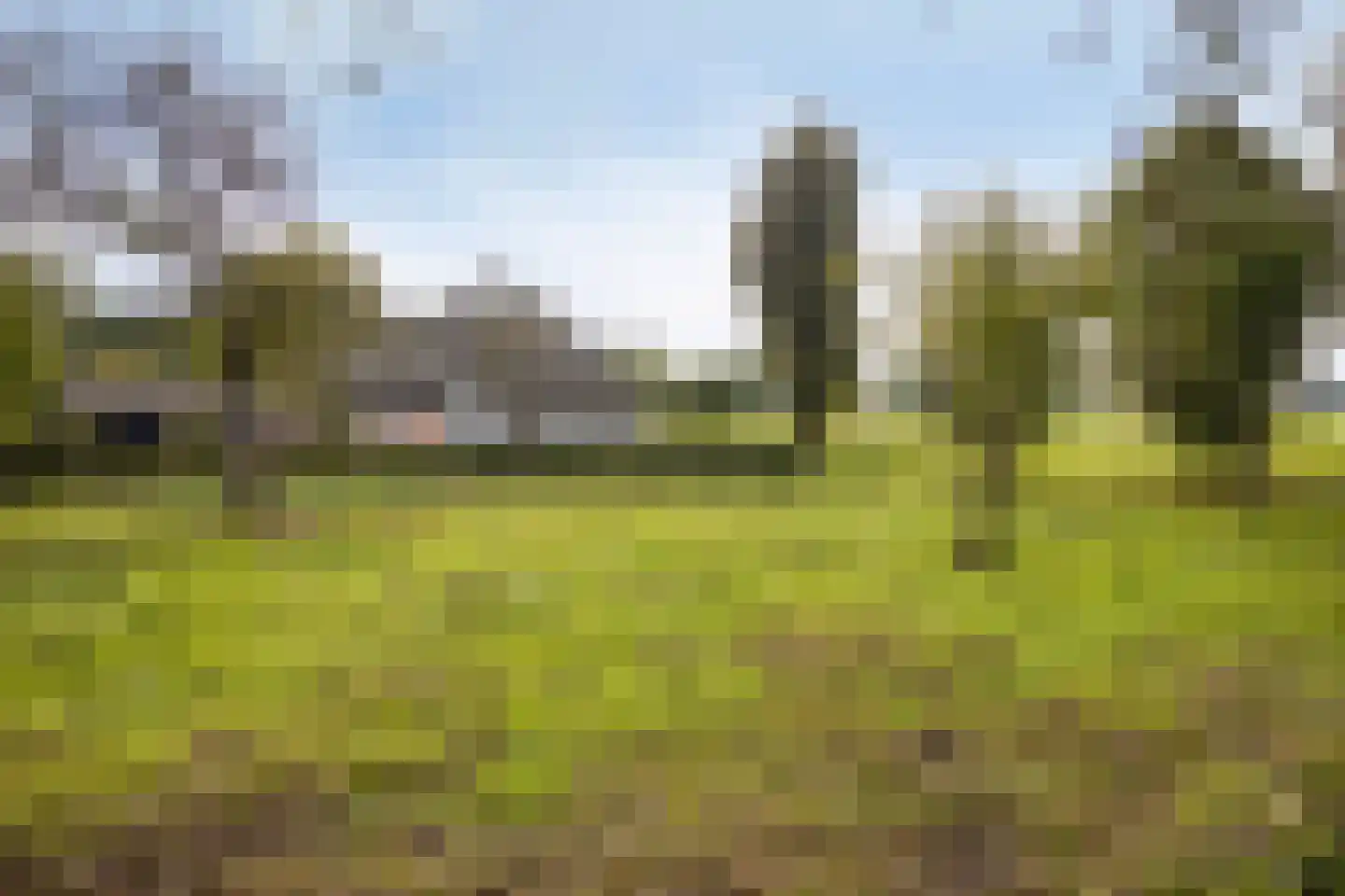 de Fransman 5 Oirschot thumbnail 85