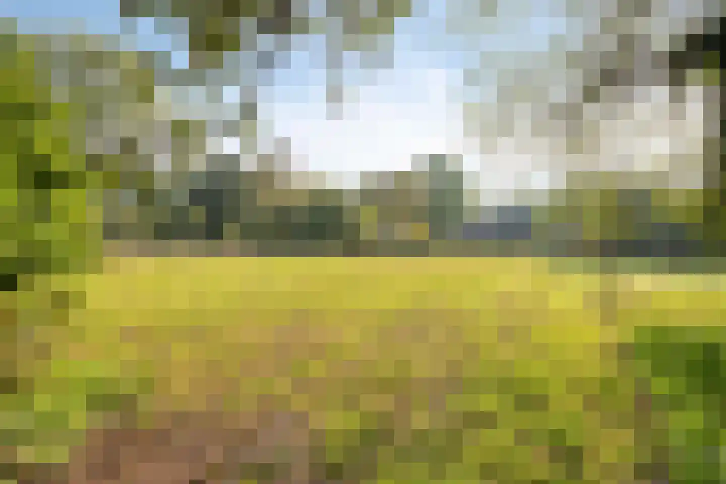 de Fransman 5 Oirschot thumbnail 86