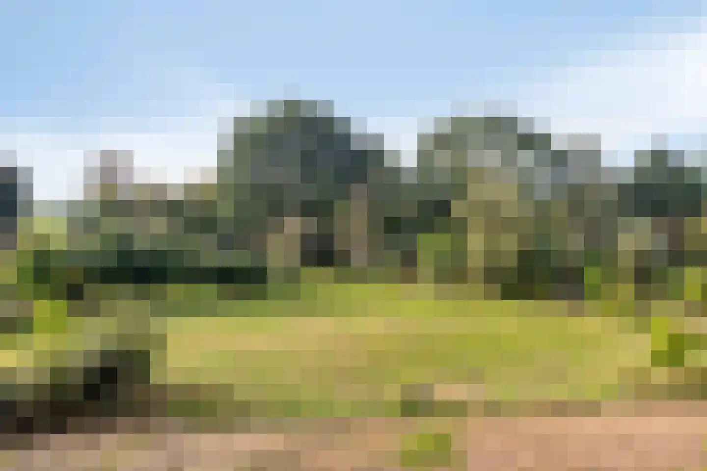 de Fransman 5 Oirschot thumbnail 87