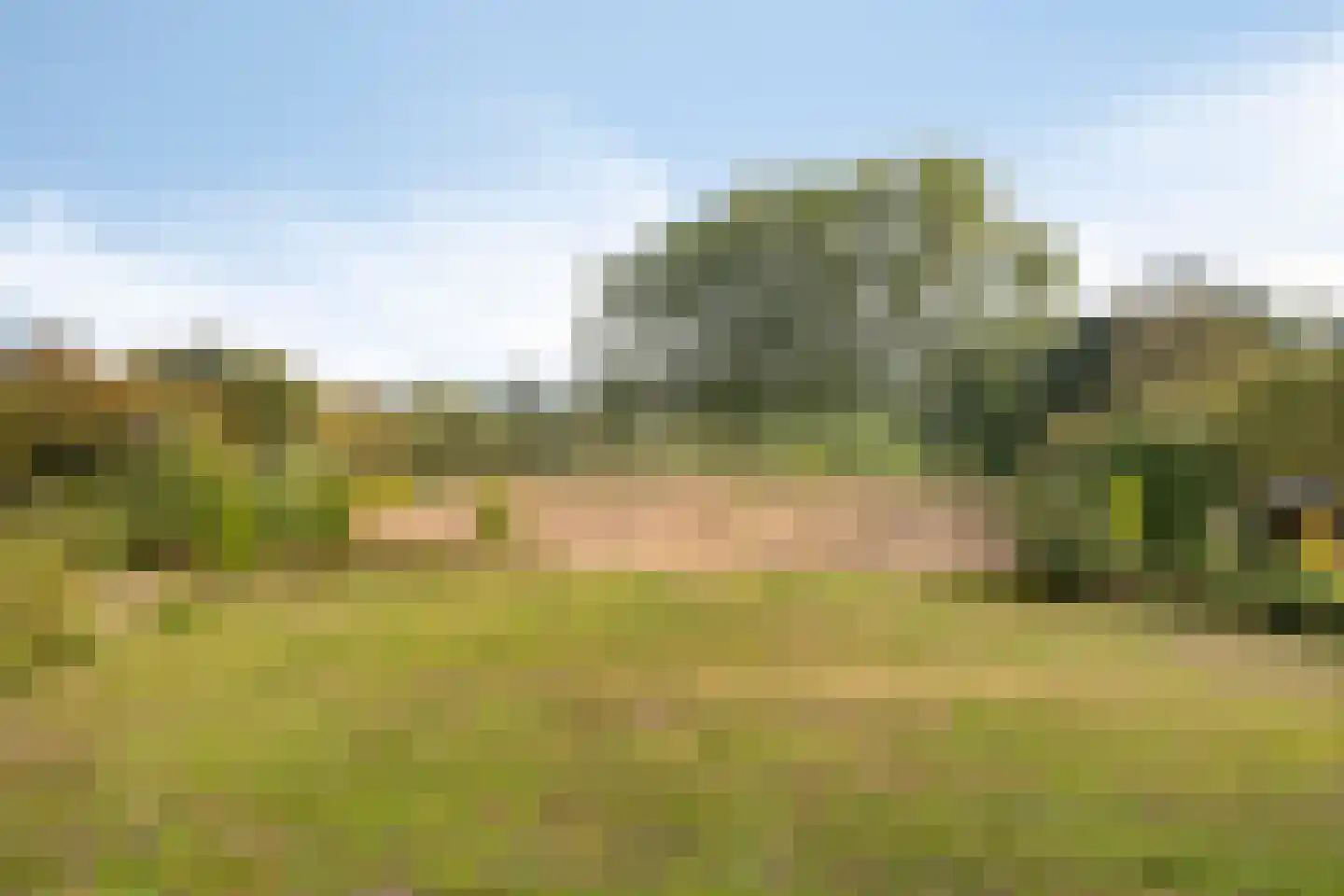 de Fransman 5 Oirschot thumbnail 88