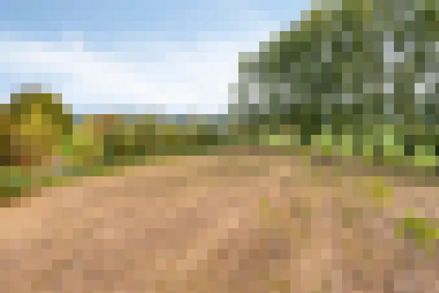de Fransman 5 Oirschot thumbnail 89