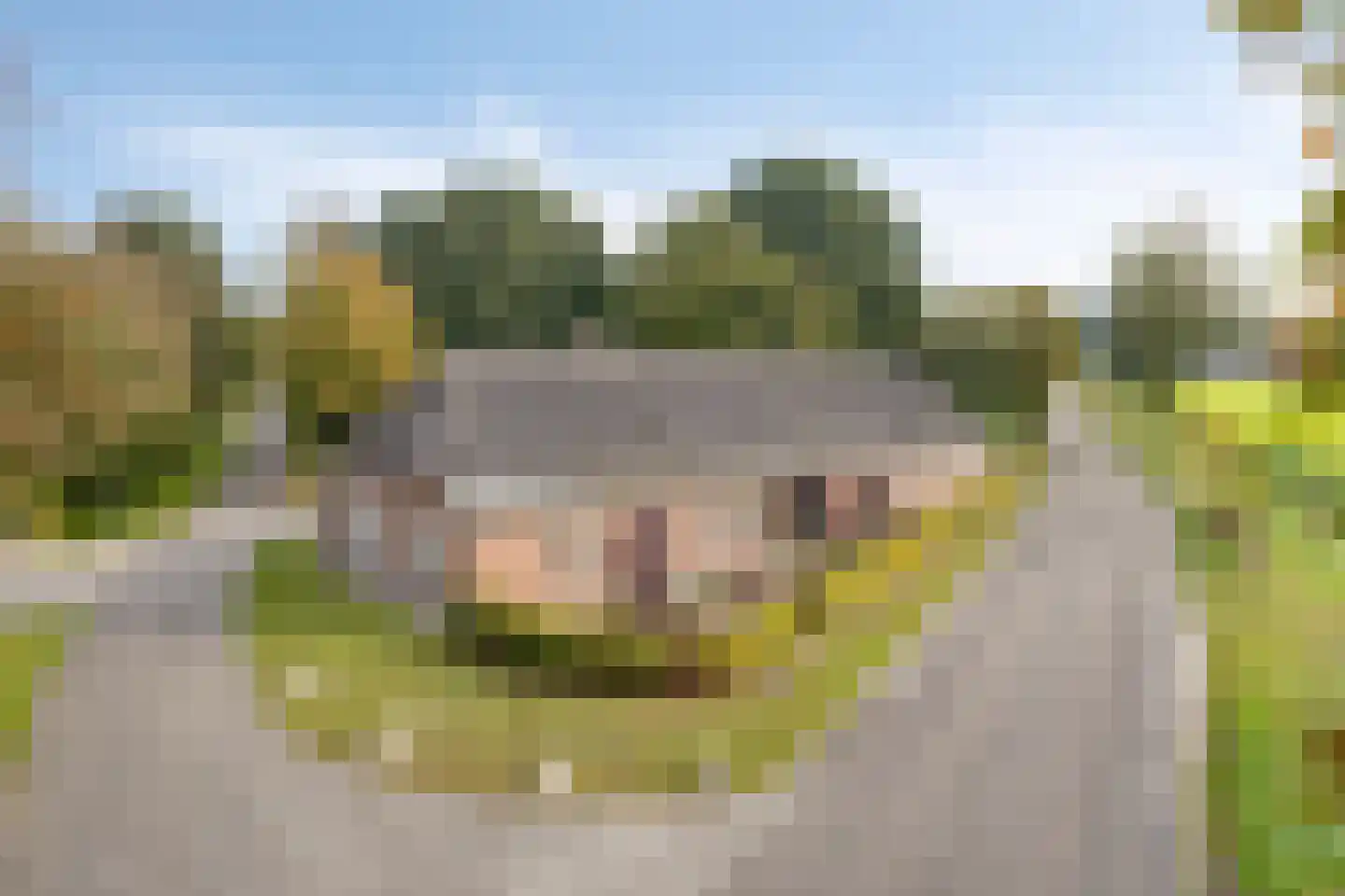 de Fransman 5 Oirschot thumbnail 92