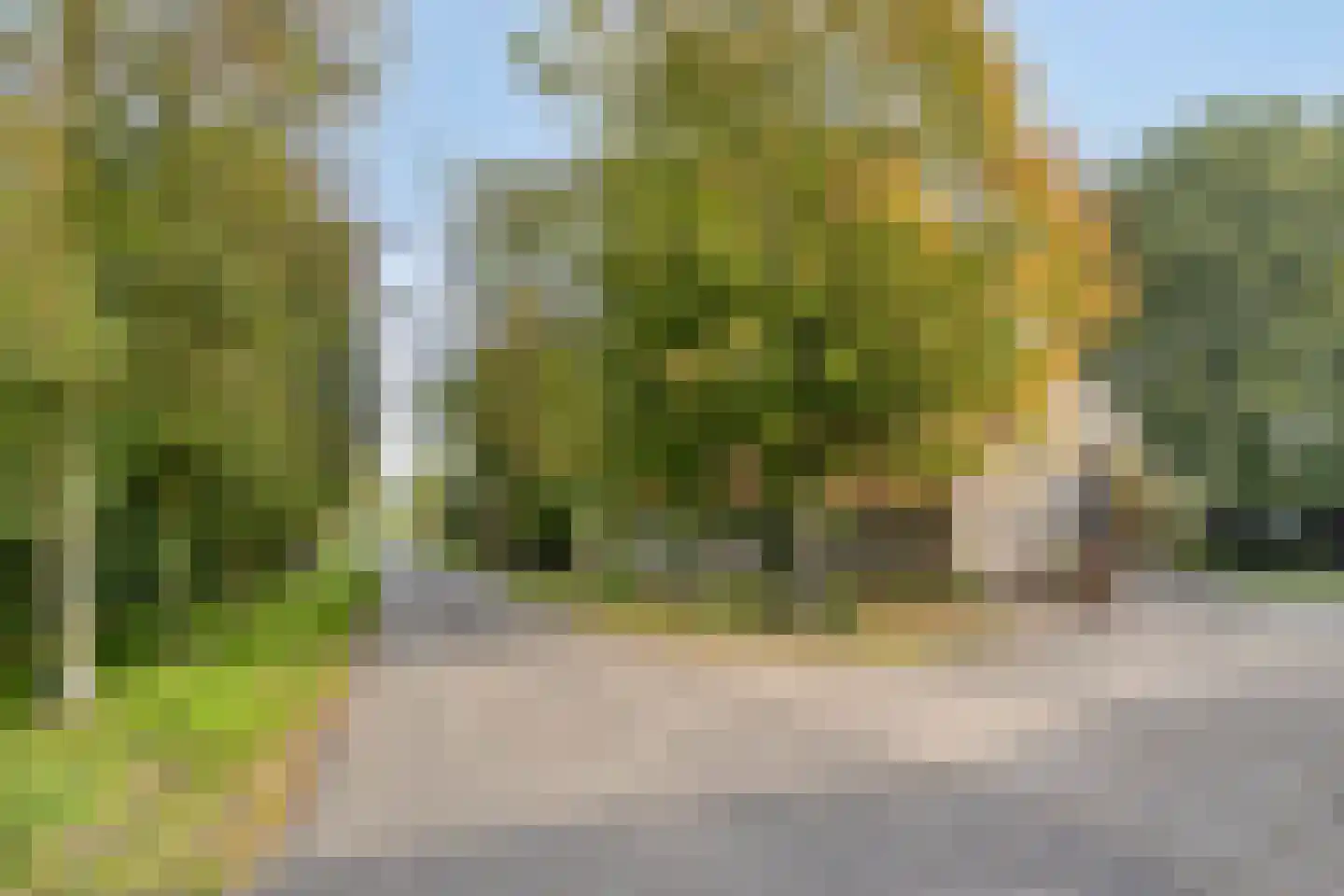 de Fransman 5 Oirschot thumbnail 97