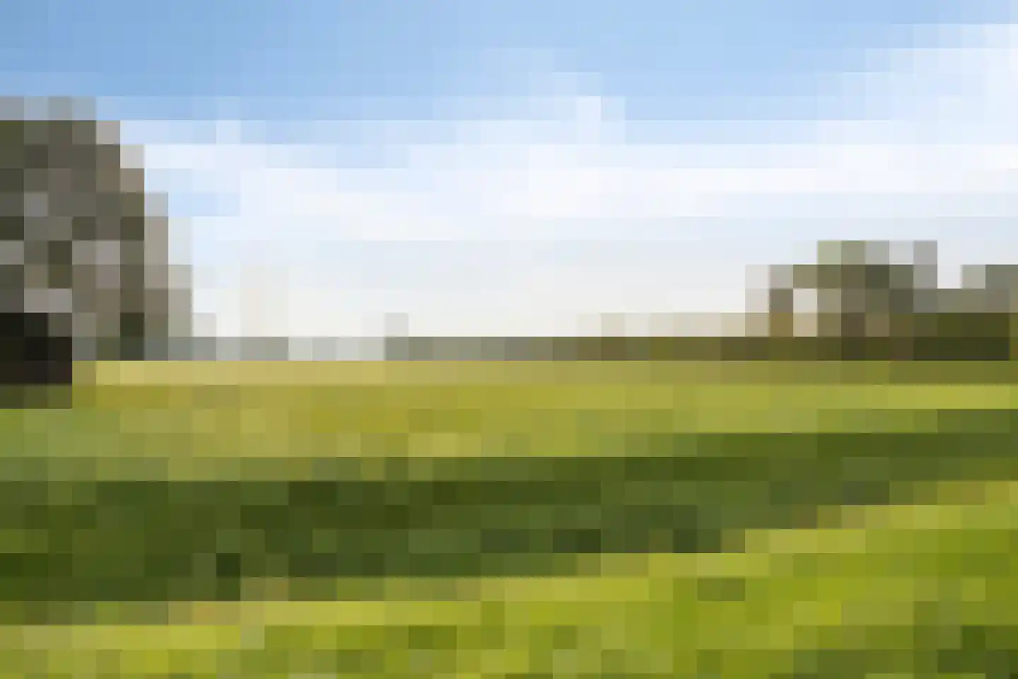 de Fransman 5 Oirschot thumbnail 98