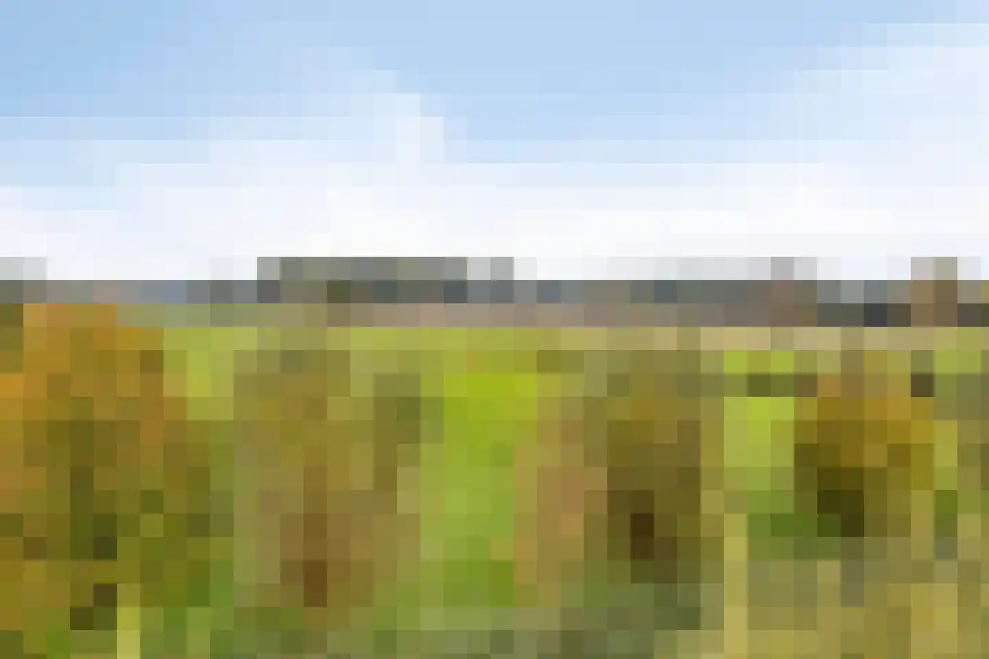 de Fransman 5 Oirschot thumbnail 99