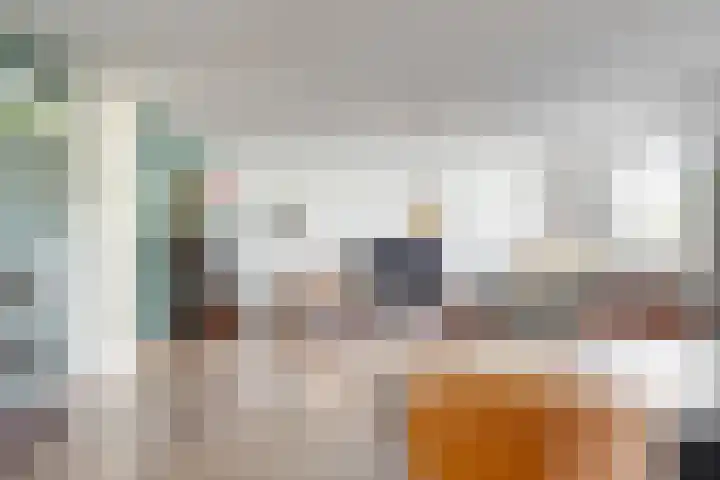 De Friese Poort 116 Alkmaar thumbnail 12