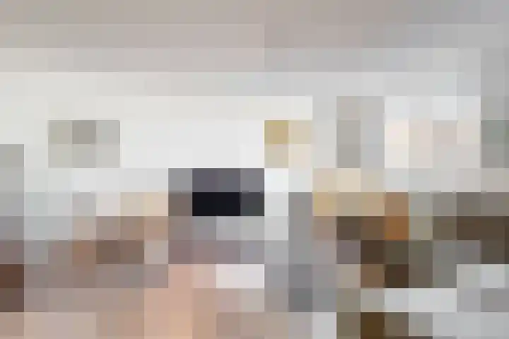 De Friese Poort 116 Alkmaar thumbnail 15