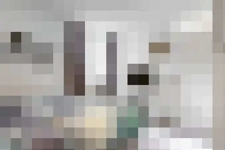 De Friese Poort 116 Alkmaar thumbnail 18