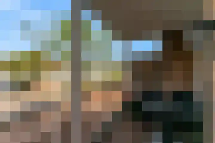 De Friese Poort 116 Alkmaar thumbnail 25