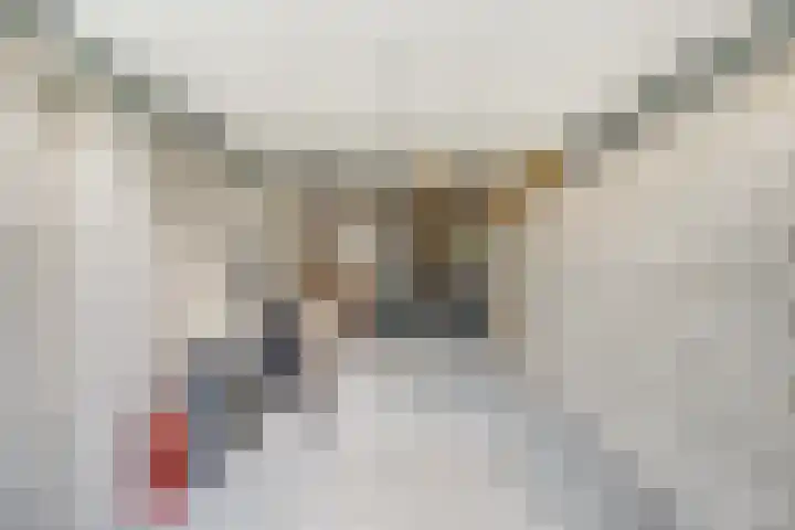 De Friese Poort 116 Alkmaar thumbnail 29