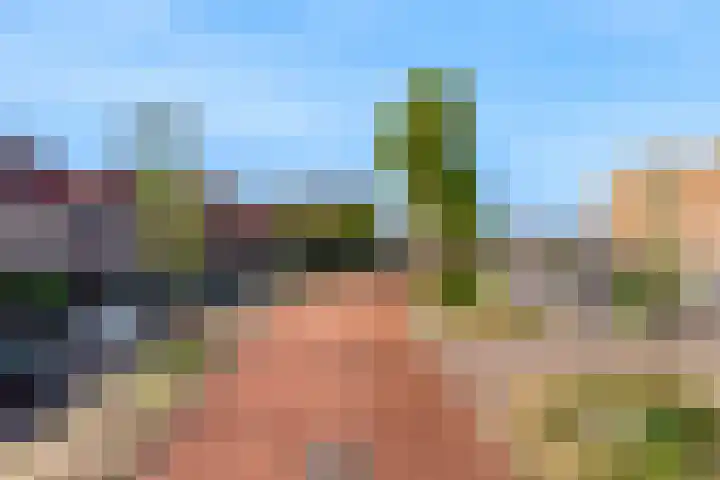 De Friese Poort 116 Alkmaar thumbnail 35