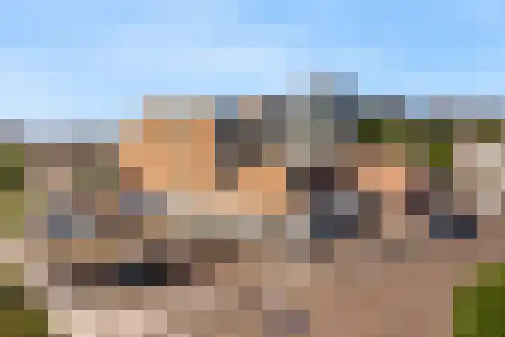 De Friese Poort 116 Alkmaar thumbnail 6