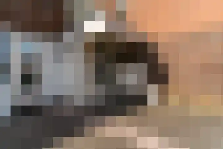 De Friese Poort 116 Alkmaar thumbnail 7