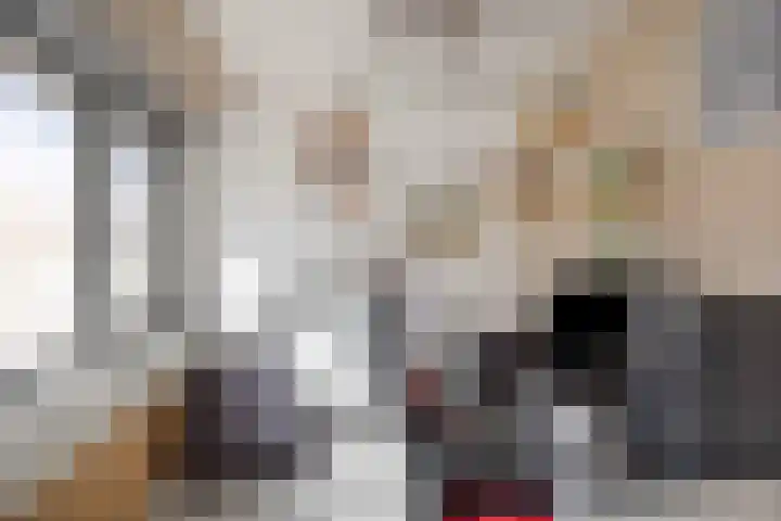 De Friese Poort 24 Alkmaar thumbnail 20
