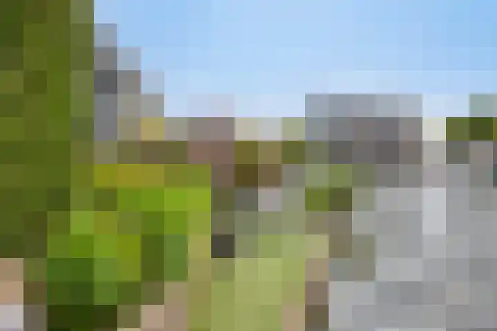 De Friese Poort 24 Alkmaar thumbnail 4