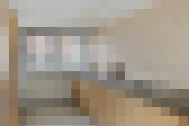 De Friese Poort 24 Alkmaar thumbnail 5