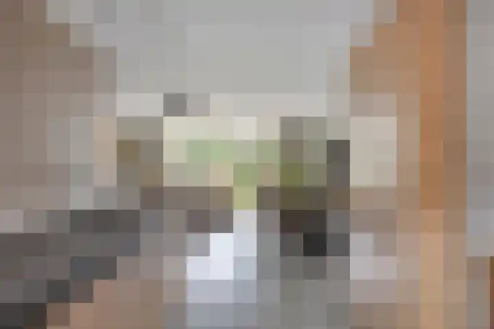 De Friese Poort 24 Alkmaar thumbnail 6