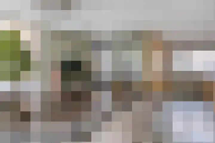 De Friese Poort 24 Alkmaar thumbnail 9