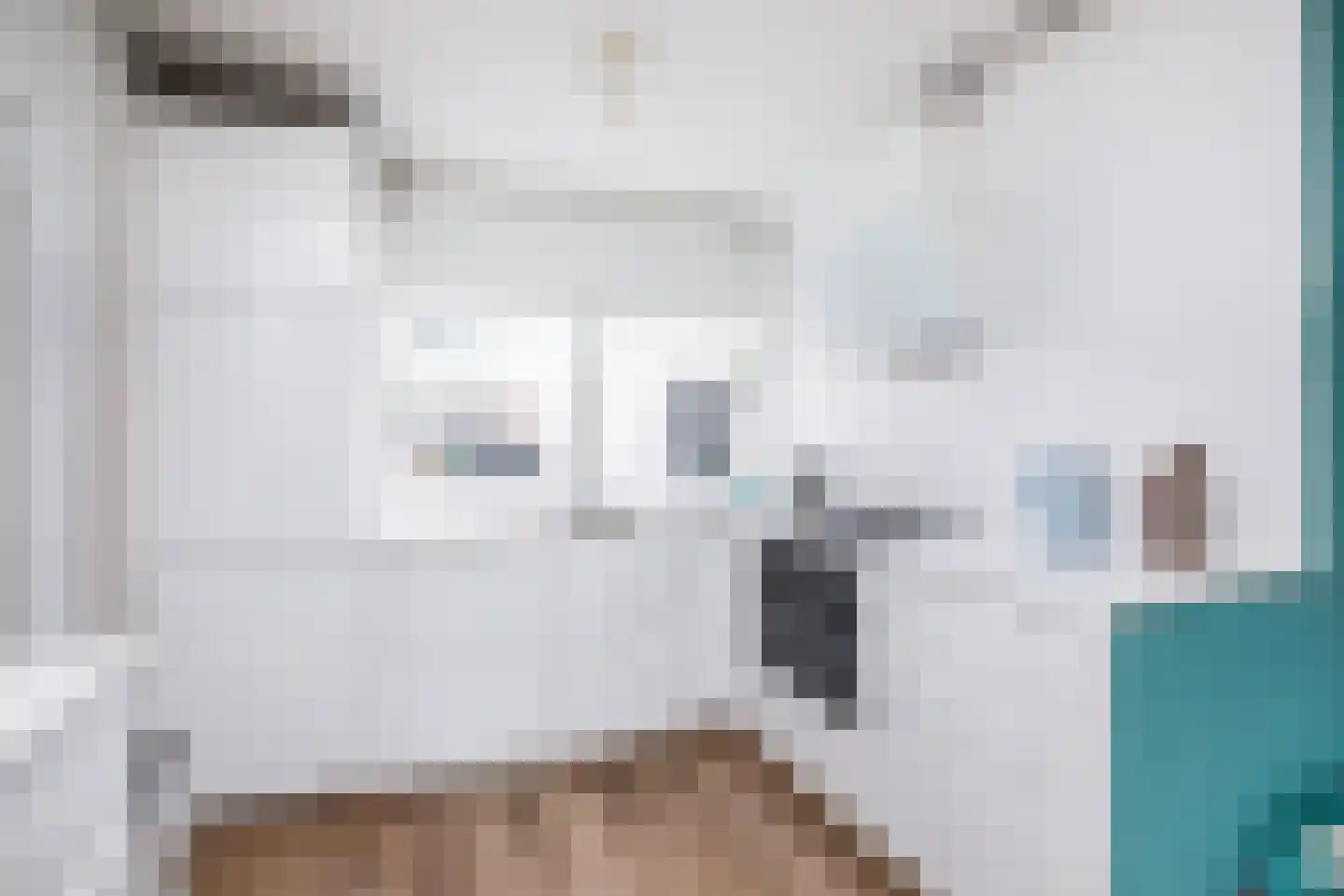 De Friese Poort 40 Alkmaar thumbnail 4