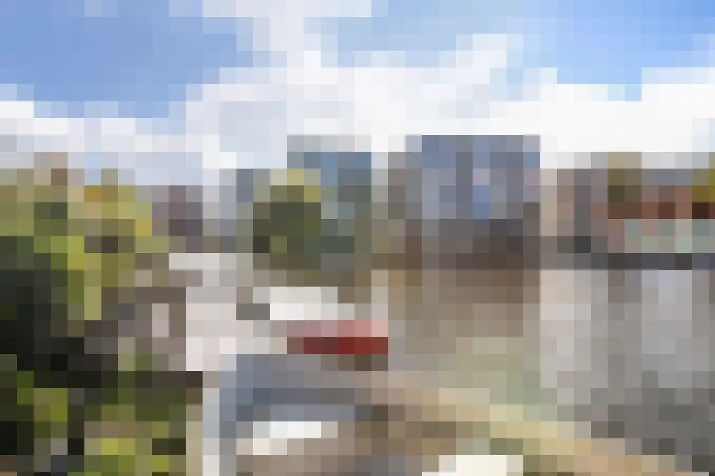 De Friese Poort 40 Alkmaar thumbnail 45