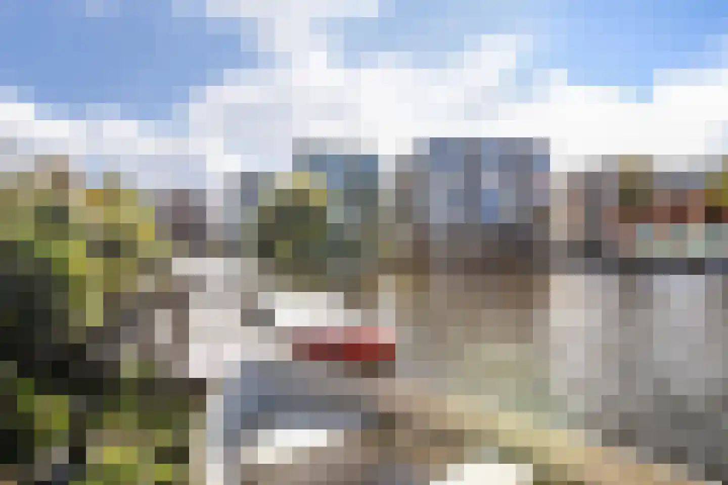 De Friese Poort 40 Alkmaar thumbnail 6