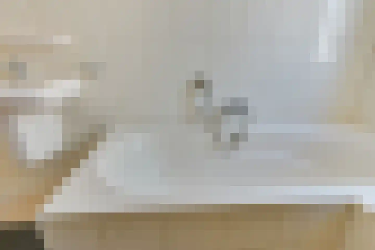 De Friese Poort 47 Alkmaar thumbnail 21