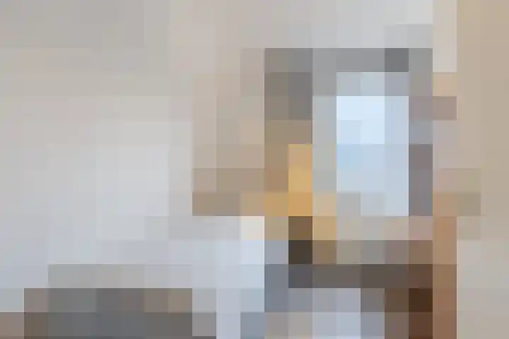 De Friese Poort 51 Alkmaar thumbnail 17
