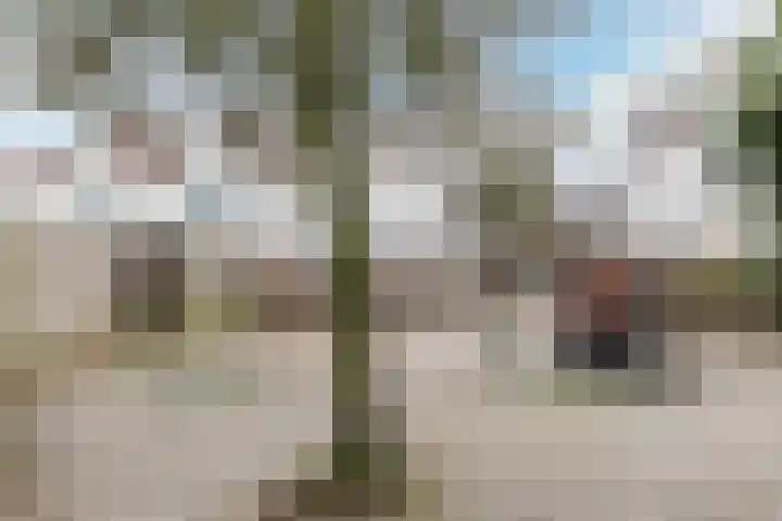 De Friese Poort 51 Alkmaar thumbnail 31