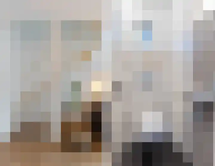 De Friese Poort 51 Alkmaar thumbnail 6