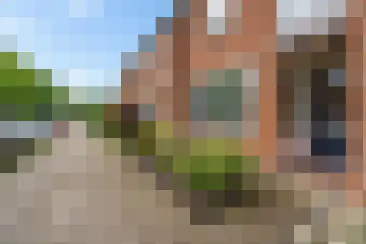 De Frisia 49 Drachten thumbnail 35