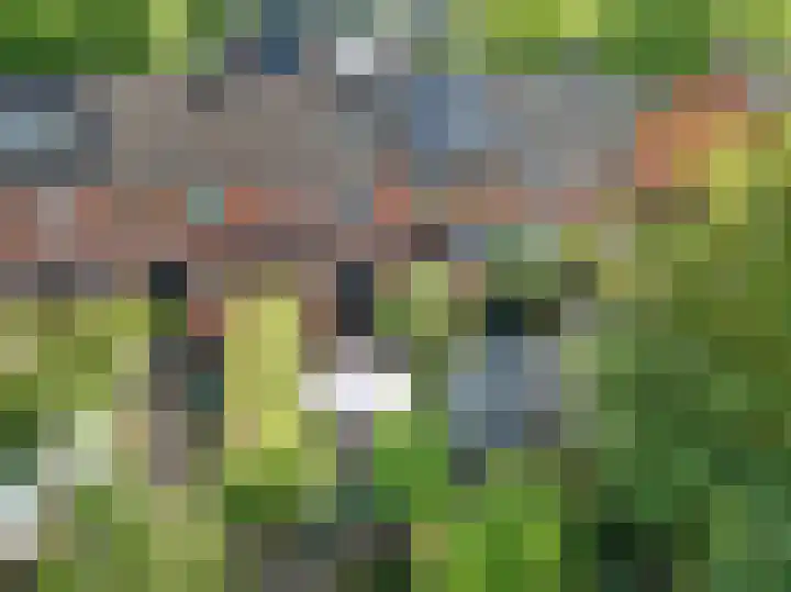 De Frisia 49 Drachten thumbnail 38