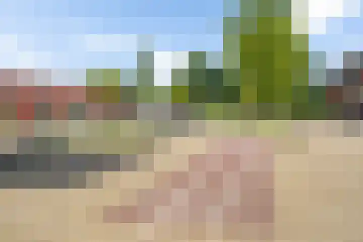 De Frisia 49 Drachten thumbnail 41