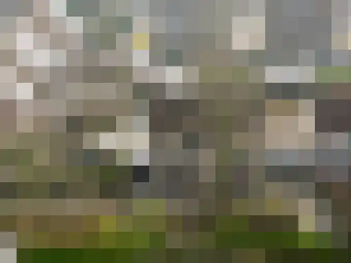 De Friso 13 Drachten thumbnail 48