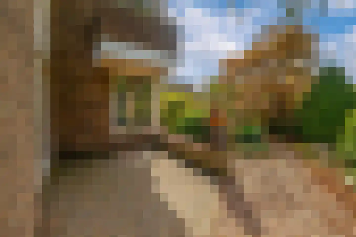 De Friso 17 Drachten thumbnail 27