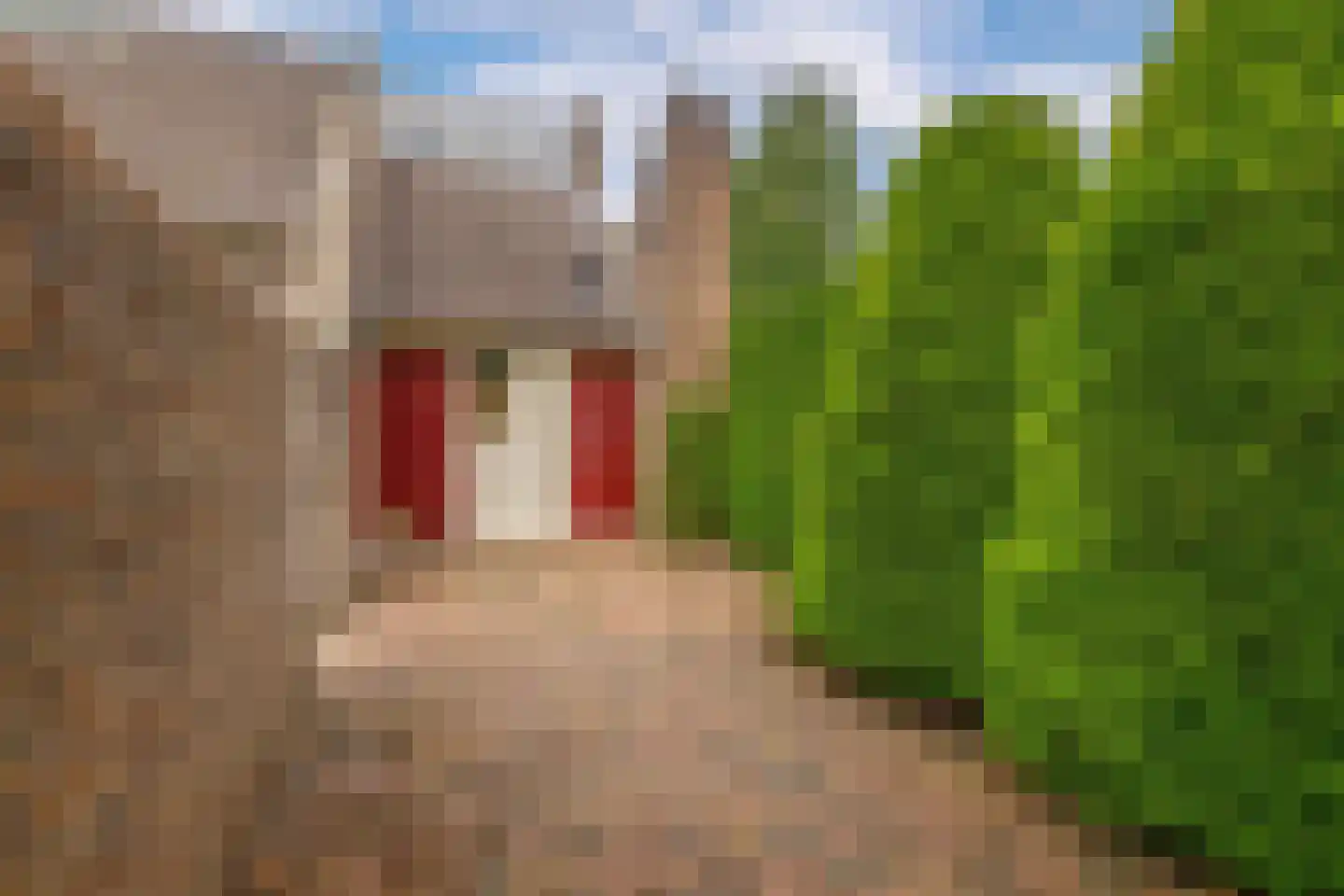 De Friso 17 Drachten thumbnail 32