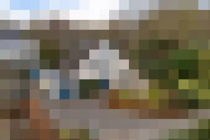 De Friso 6 d Drachten thumbnail 4