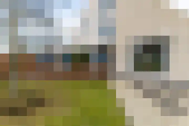 De Friso 6 d Drachten thumbnail 5