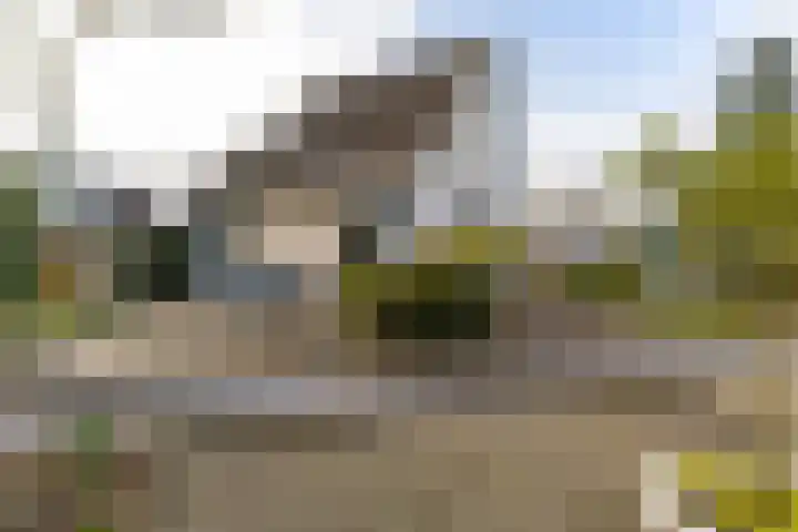 De Friso 6 d Drachten thumbnail 50