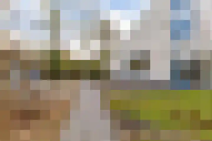 De Friso 6 d Drachten thumbnail 59