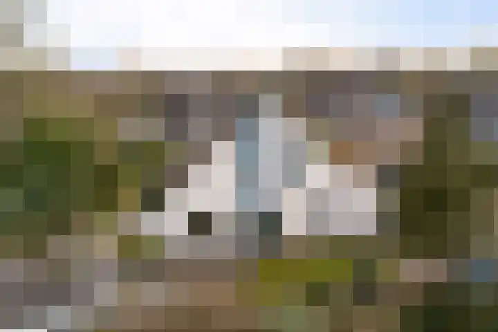 De Friso 6 d Drachten thumbnail 62