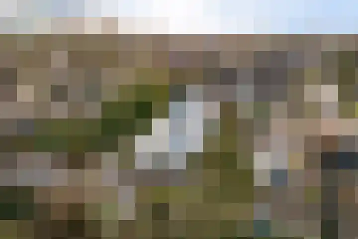 De Friso 6 d Drachten thumbnail 63