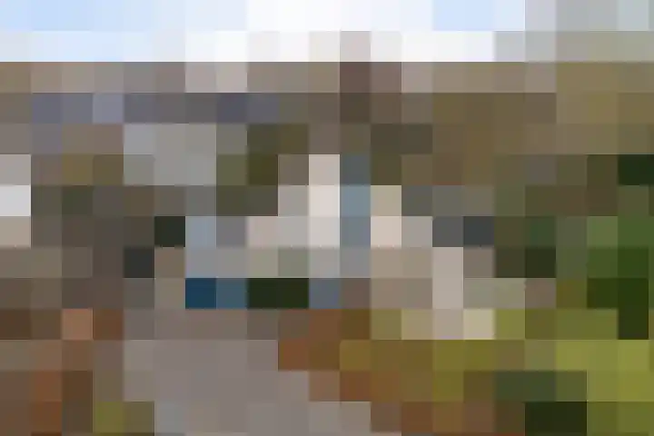 De Friso 6 d Drachten thumbnail 64